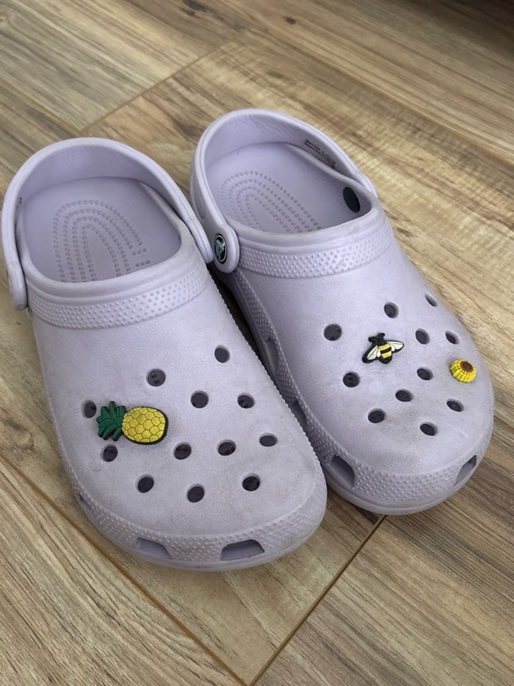 Light Purple Crocs with Jibbitz